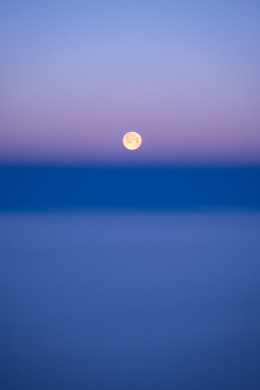 Picture of moonstruck